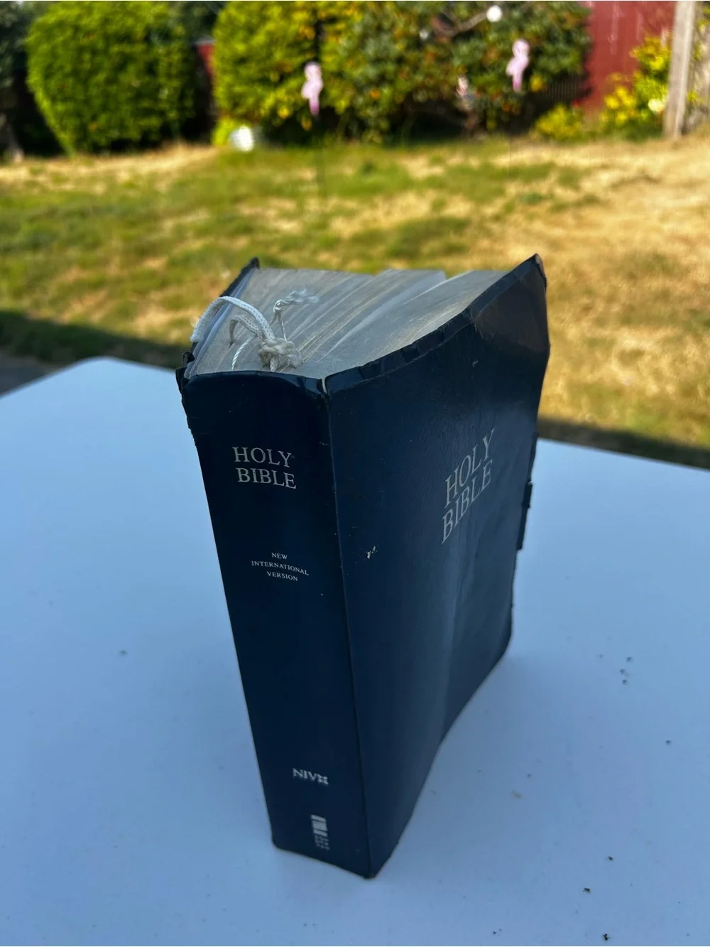 Holy Bible holy bible